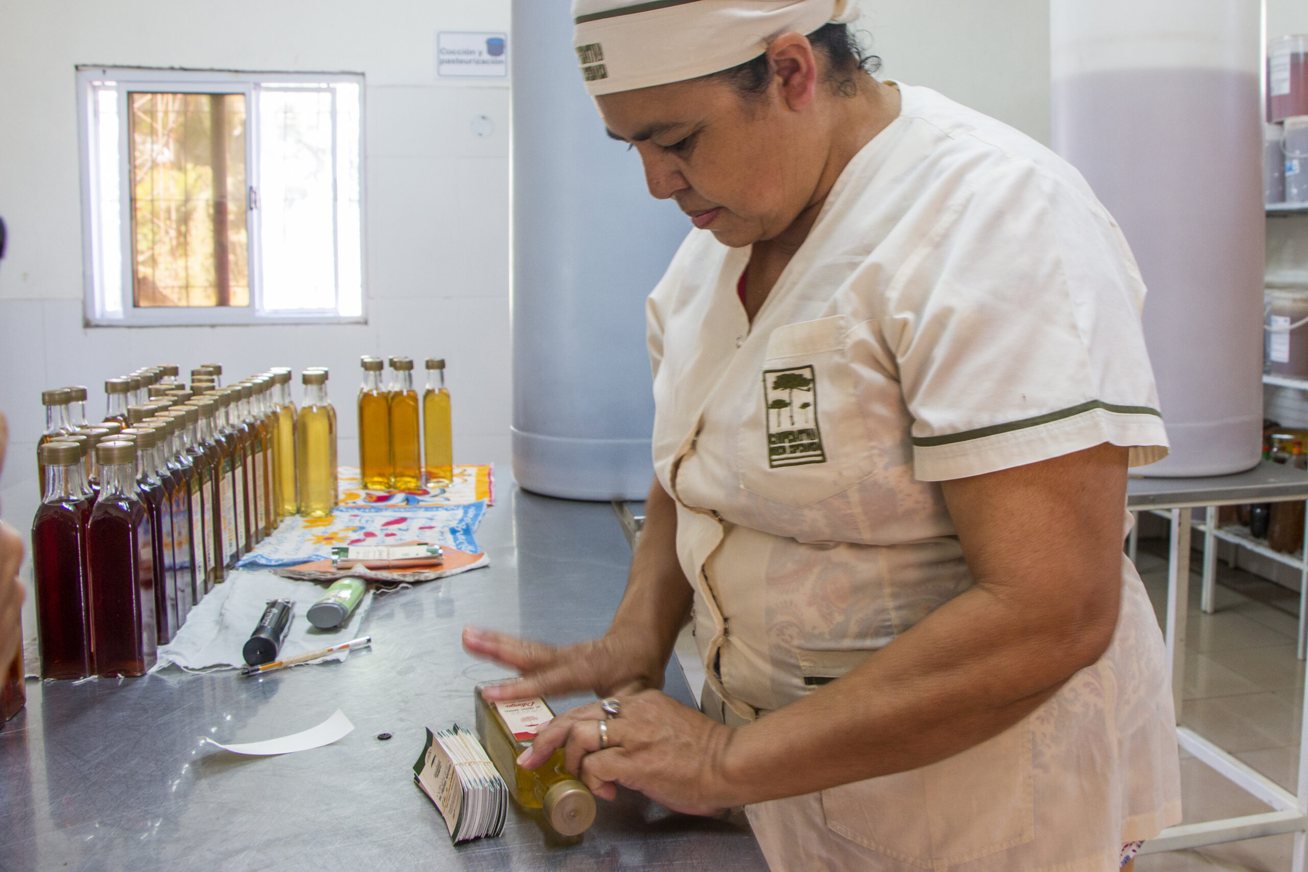 Imagen de portada para Proyecto “Mujeres cultivadoras: fortalecimiento de la Cooperativa Nueva Esperanza”
