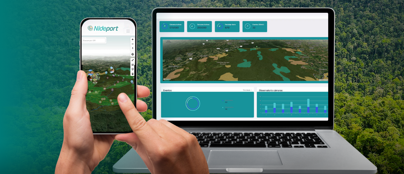Imagen de portada para De Argentina al mundo: la plataforma digital basada en IA que busca recuperar millones de hectáreas de bosques