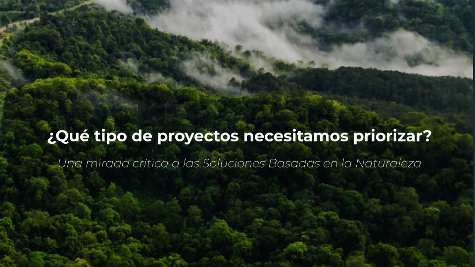 Imagen de portada para ¿Qué tipo de proyectos de carbono necesitamos priorizar? Una mirada crítica a las NBS